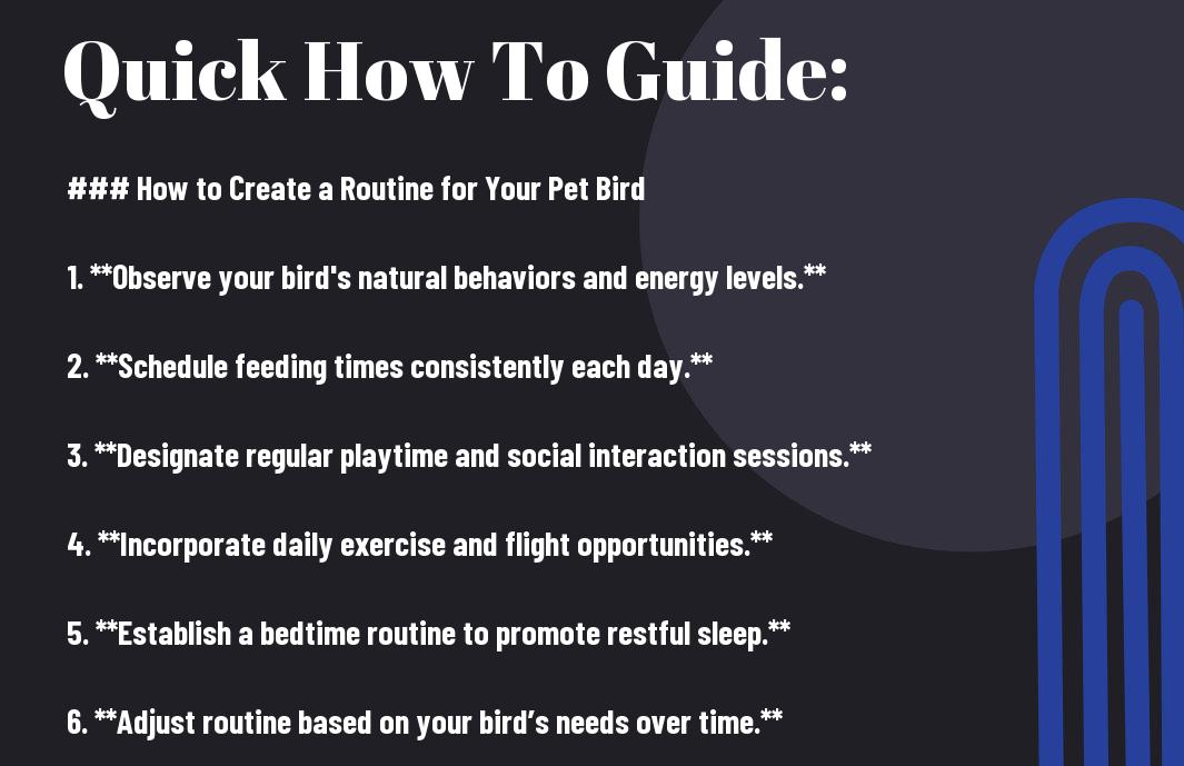 How to Create a Routine for Your Pet Bird