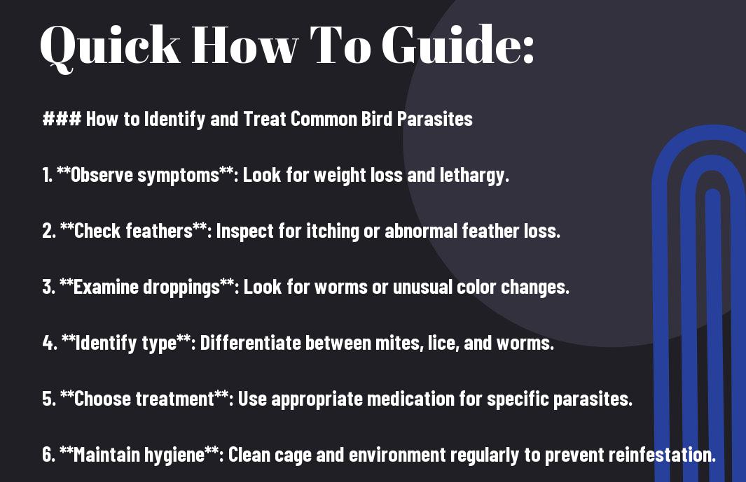 How to Identify and Treat Common Bird Parasites