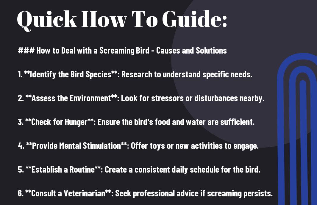 How to Deal with a Screaming Bird - Causes and Solutions