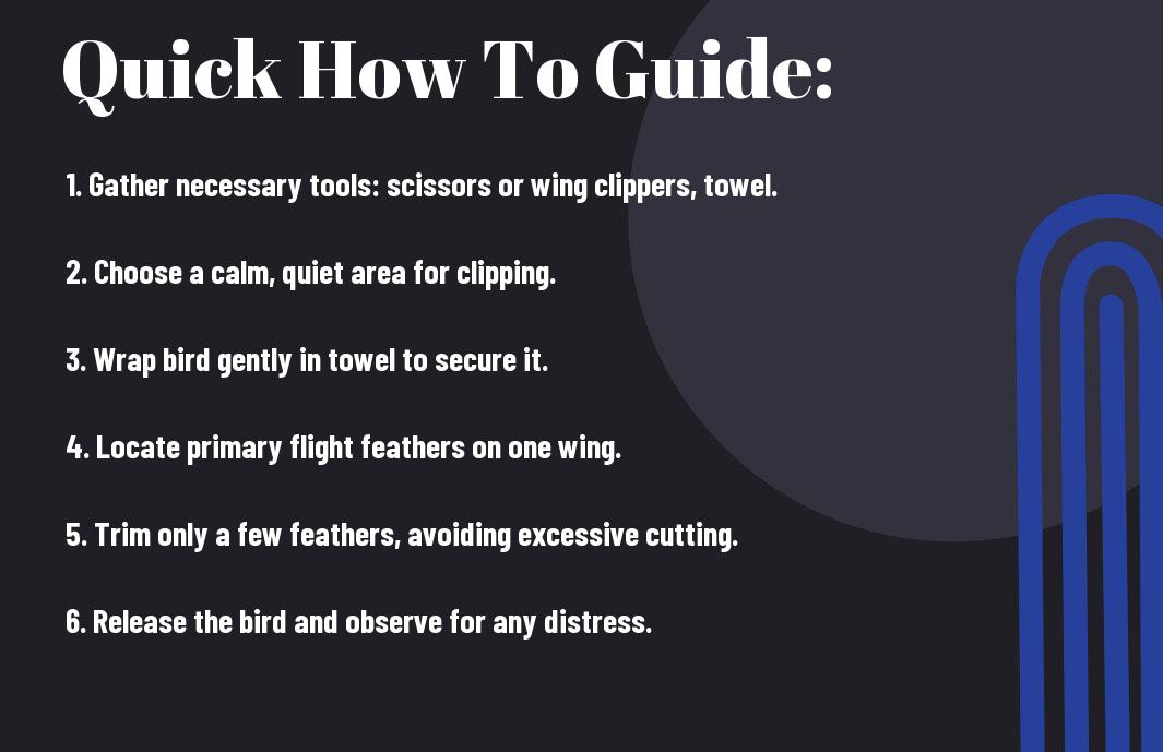 How to Safely Clip Your Bird’s Wings at Home