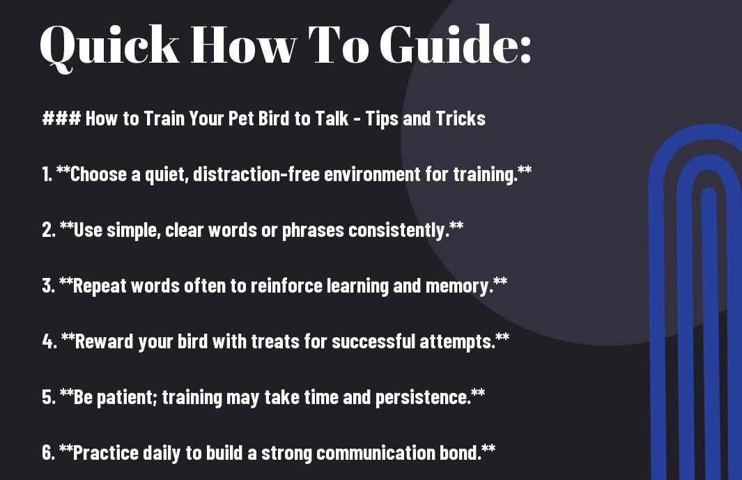 How to Train Your Pet Bird to Talk - Tips and Tricks