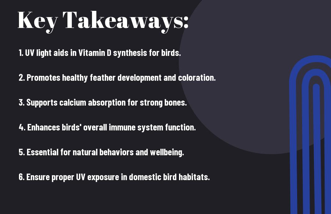 The Role of UV Light in Bird Health - What You Need to Know