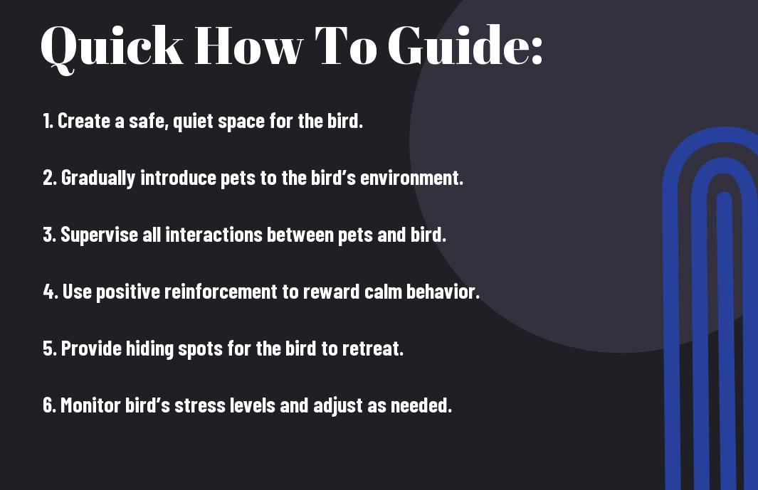 How to Manage a Bird That’s Afraid of Other Pets